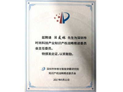 91福利导航在线真空91福利在线视频厂荣誉-战略推进委员会主任委员