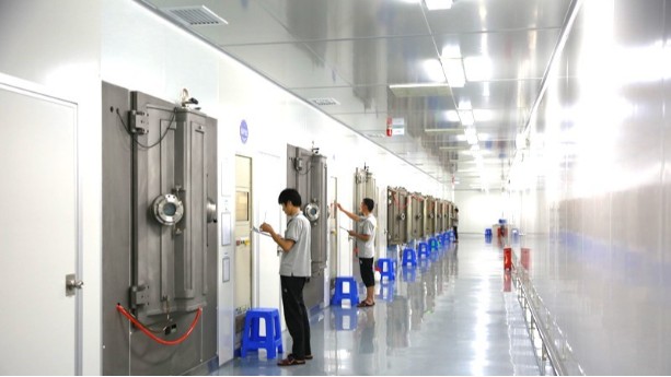 PVD91福利在线视频